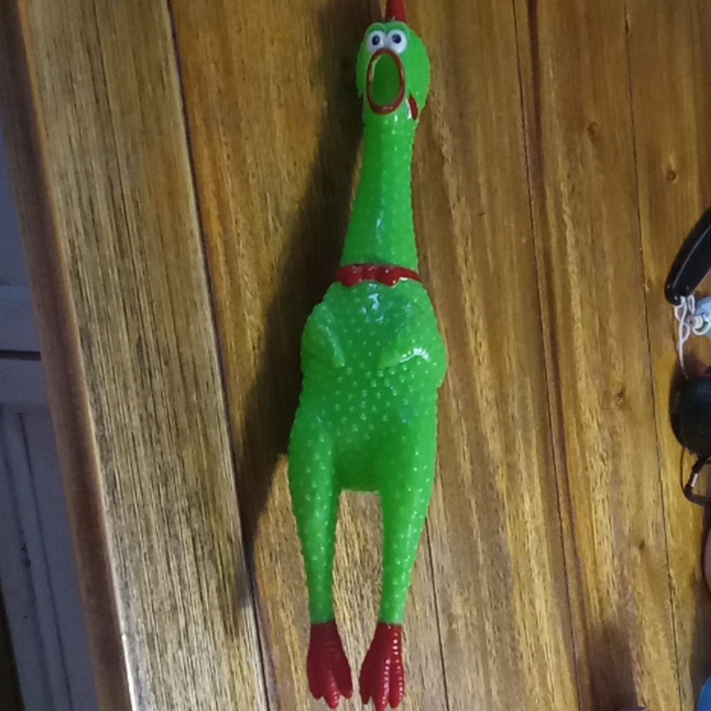 Dog toy